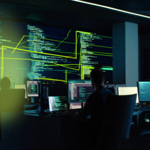 Desarrollo de Software Básico